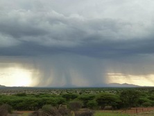 Sdliches Afrika, Namibia, Kalahari: Starker Regenschauer 
