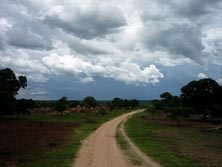 Sdliches Afrika, Zambia, Kalahari: Auf Sandpisten durch Zambia